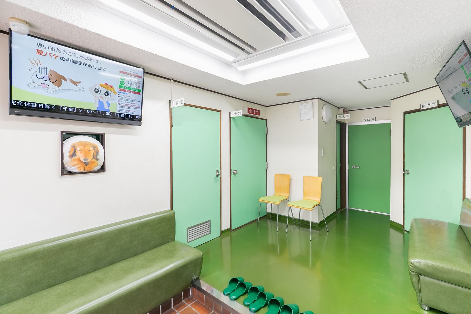 川口市の動物病院「どうぶつのセンター病院」の待合室