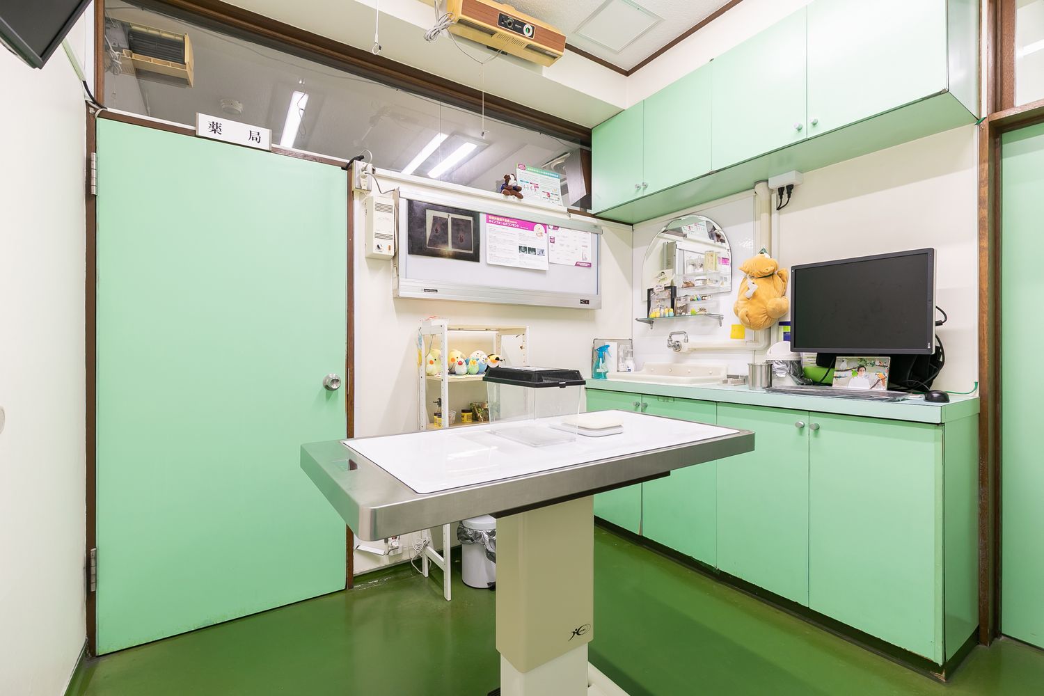 健康診断（犬・猫）